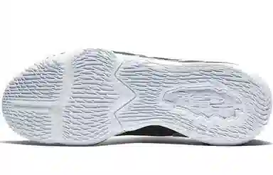 Nike Lebron 17 Low EP