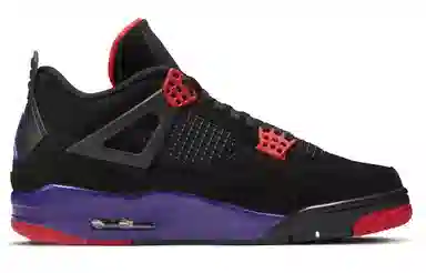Jordan Air Jordan 4 Retro Raptors NRG