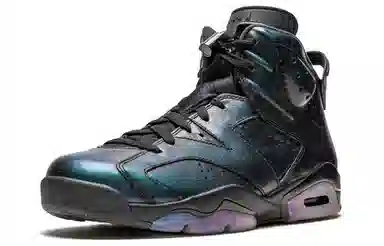 Jordan Air Jordan 6 Retro "Chameleon"