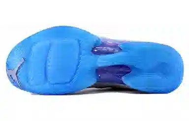 Jordan Air Jordan 29 Playoff Pack Home