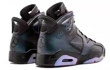 Jordan Air Jordan 6 Retro "Chameleon"
