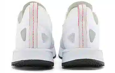 THE NORTH FACE Flypack Lace