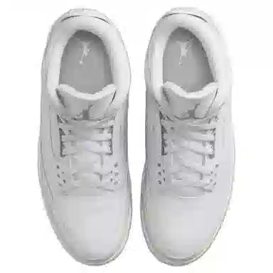 Jordan Air Jordan 3 "Pure Money"