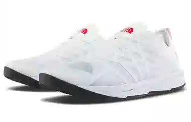 THE NORTH FACE Flypack Lace