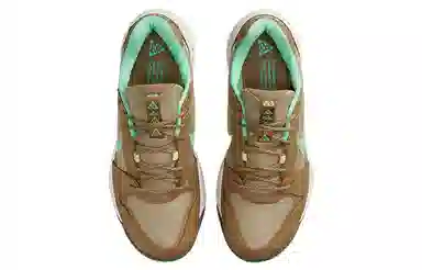 Nike ACG Lowcate Brown