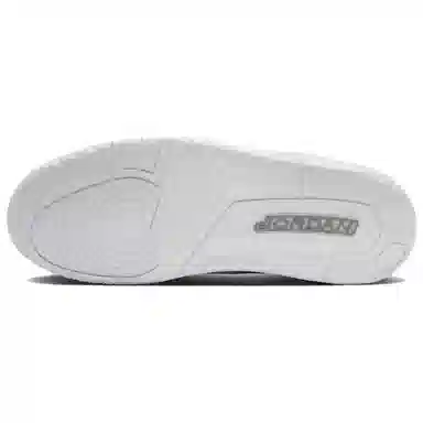 Jordan Air Jordan 3 "Pure Money"