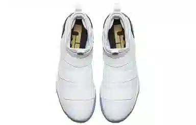 Nike Zoom Soldier 11 LeBron Court General