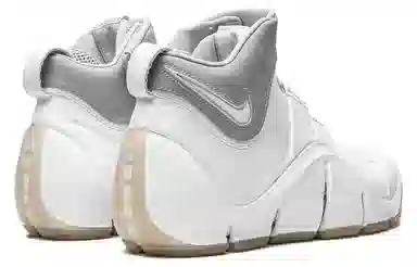 Nike Lebron 4 White Chrome