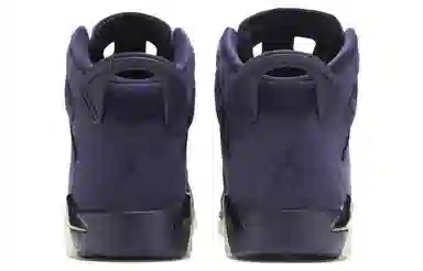 Jordan Air Jordan 6 Retro Purple Dynasty