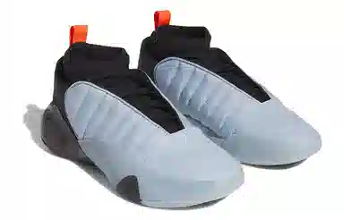 adidas Harden Vol.7 Grey