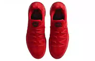 Nike Lebron 17 Low PH EP