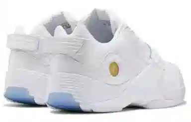 Reebok Answer V