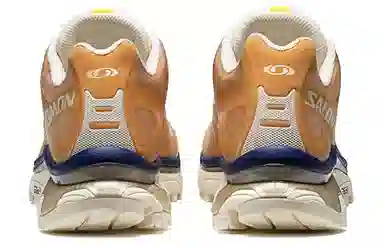 Salomon XT-4 Brown