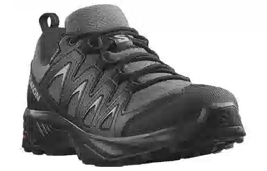 Salomon X Braze GTX W