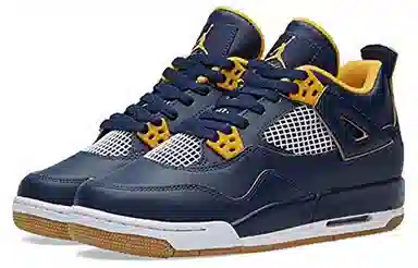 Jordan Air Jordan 4 Retro Dunk From Above