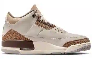Jordan Air Jordan 3 "Orewood Brown"