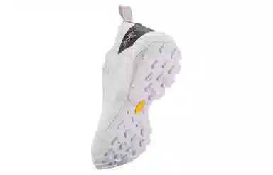 Arcteryx Vertex GTX