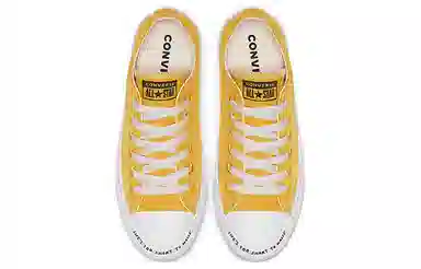 Converse Taylor All Star Renew Low Top