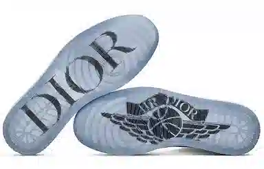 Dior x Air Jordan 1 High OG White Grey