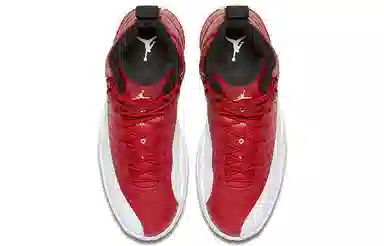 Jordan Air Jordan 12 Retro