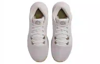 Nike Lebron Witness VIII EP