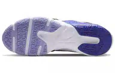 Nike Legend Essential 2