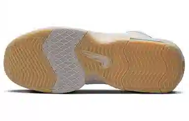 Nike Lebron Witness VIII EP