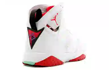 Jordan Air Jordan 7 Retro Hare CDP 2008