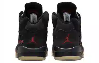 Jordan Air Jordan 5 Gore-Tex "Off-Noir"