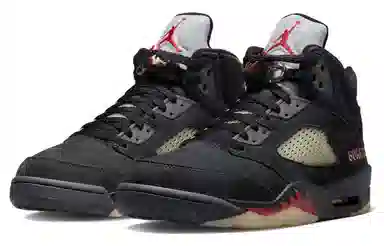 Jordan Air Jordan 5 Gore-Tex "Off-Noir"