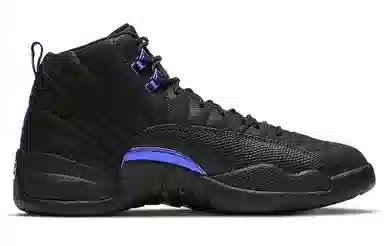 Jordan Air Jordan 12 Retro "Black Concord"