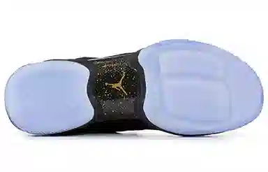 Jordan Air Jordan 28 Think 16