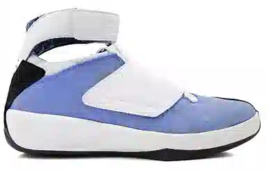 Jordan Air Jordan 20 OG West Coast