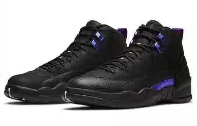 Jordan Air Jordan 12 Retro "Black Concord"