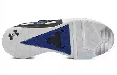 Under Armour Project Rock Low Blue