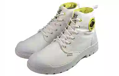 Palladium Pampa