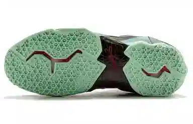 Nike Lebron 11 King's Pride