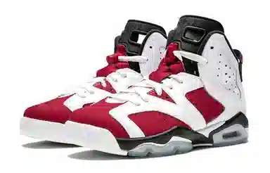 Jordan Air Jordan 6