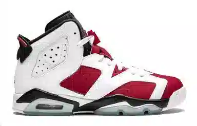Jordan Air Jordan 6