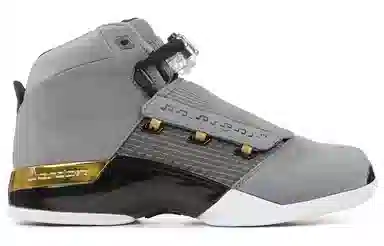Jordan Air Jordan 17 Retro Trophy Room