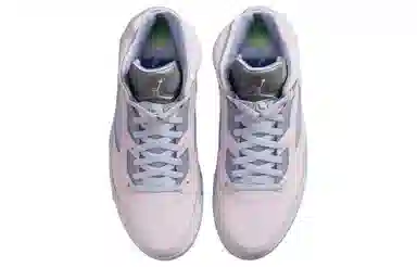 Jordan Air Jordan 5 Retro SE "Regal Pink"