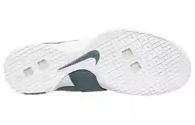 Nike zoom soldier 10 Cool Grey 10