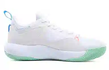 Peak Basketball Shoes White