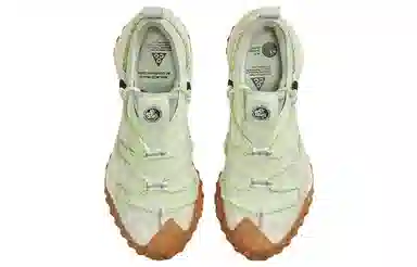 Nike ACG Mountain Fly Low GTX SE Light Green