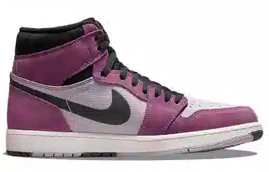 Jordan Air Jordan 1 Element GORE-TEX "Berry"