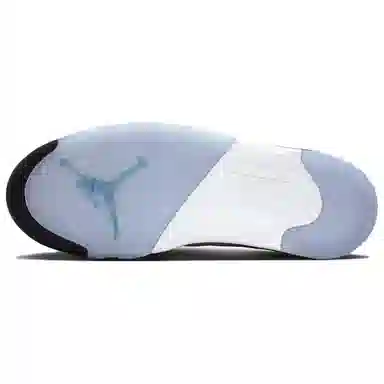 Air Jordan 5 OG "Grape"