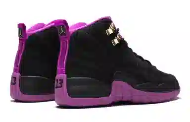Jordan Air Jordan 12 Black Purple 2016