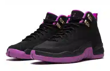Jordan Air Jordan 12 Black Purple 2016