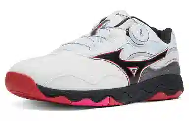 Mizuno