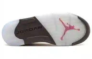 Jordan Air Jordan 5 Retro Premio Bin23